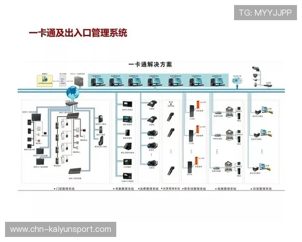 开云登录出现问题？这里有你需要的解决方案与建议