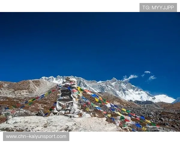 开云app登录入口绑定手机号的完整步骤及常见问题解决方案解析