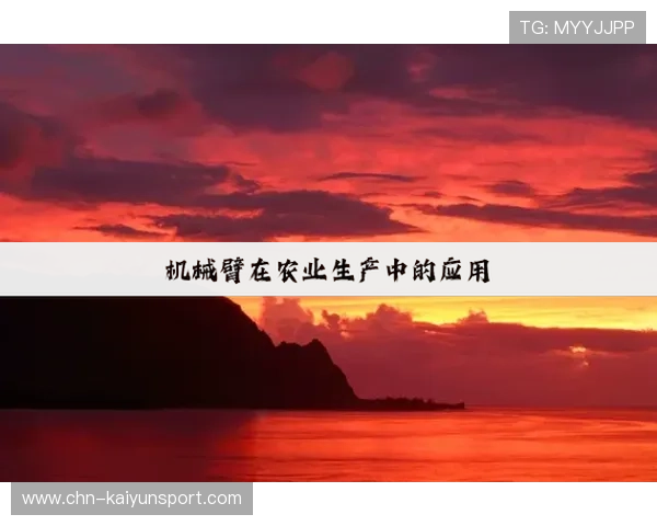 探讨“kaiyun”在全球市场竞争中的战略布局与挑战